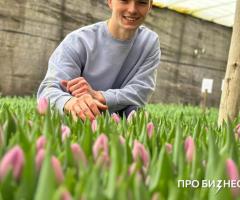 Тепличный бизнес (выращивание тюльпанов): необходим заем на развитие - 2