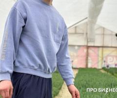 Тепличный бизнес (выращивание тюльпанов): необходим заем на развитие - 3