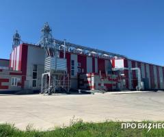 Сельскохозяйственный бизнес (семеноводство) - 2