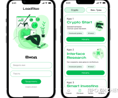 LeadRise – EdTech проект, который помогает изучать криптовалюты с элементами геймификации